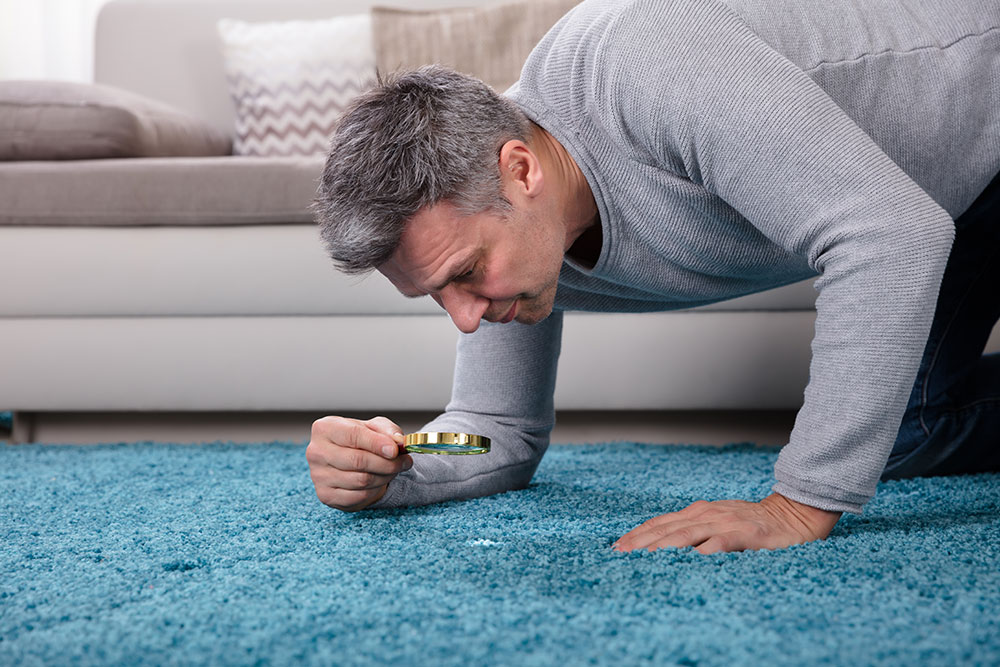A detailed overview of obsessive-compulsive disorder