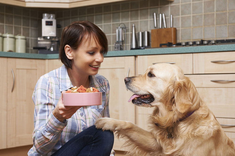 Dangerous People Foods for Pets