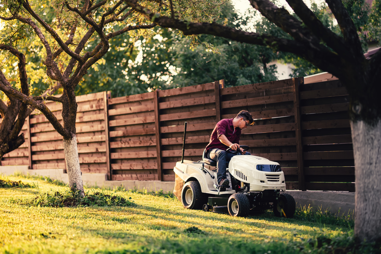 Effective Natural Lawn Care
