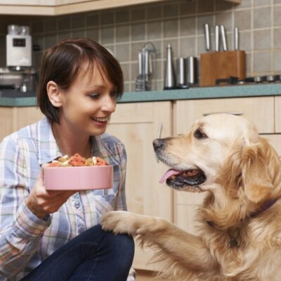 The Healthiest Dog Food: What You Need to Know for a Thriving Pet
